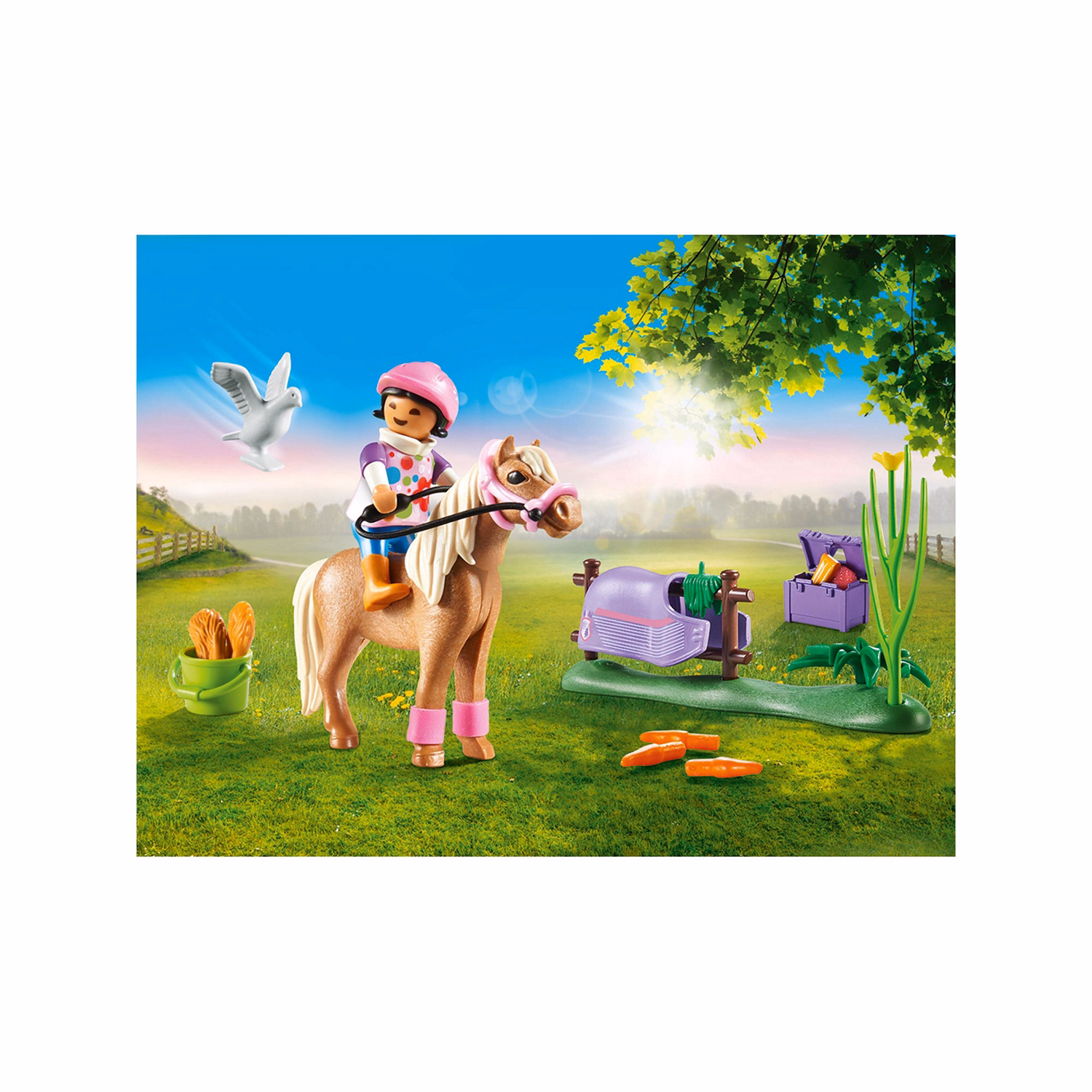 Country Icelandic Pony