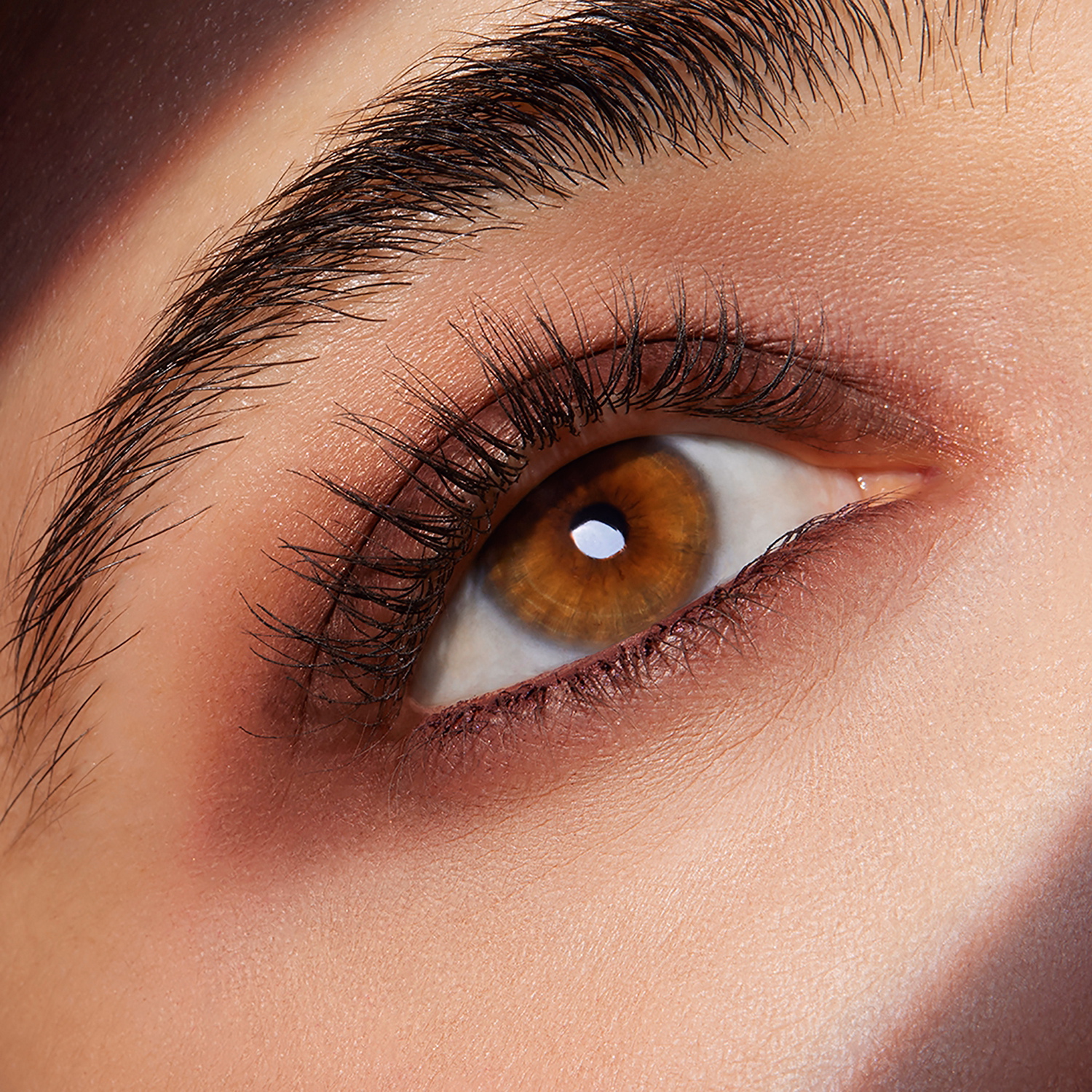 Pure Color Envy Luxe Eye Shadow Quad