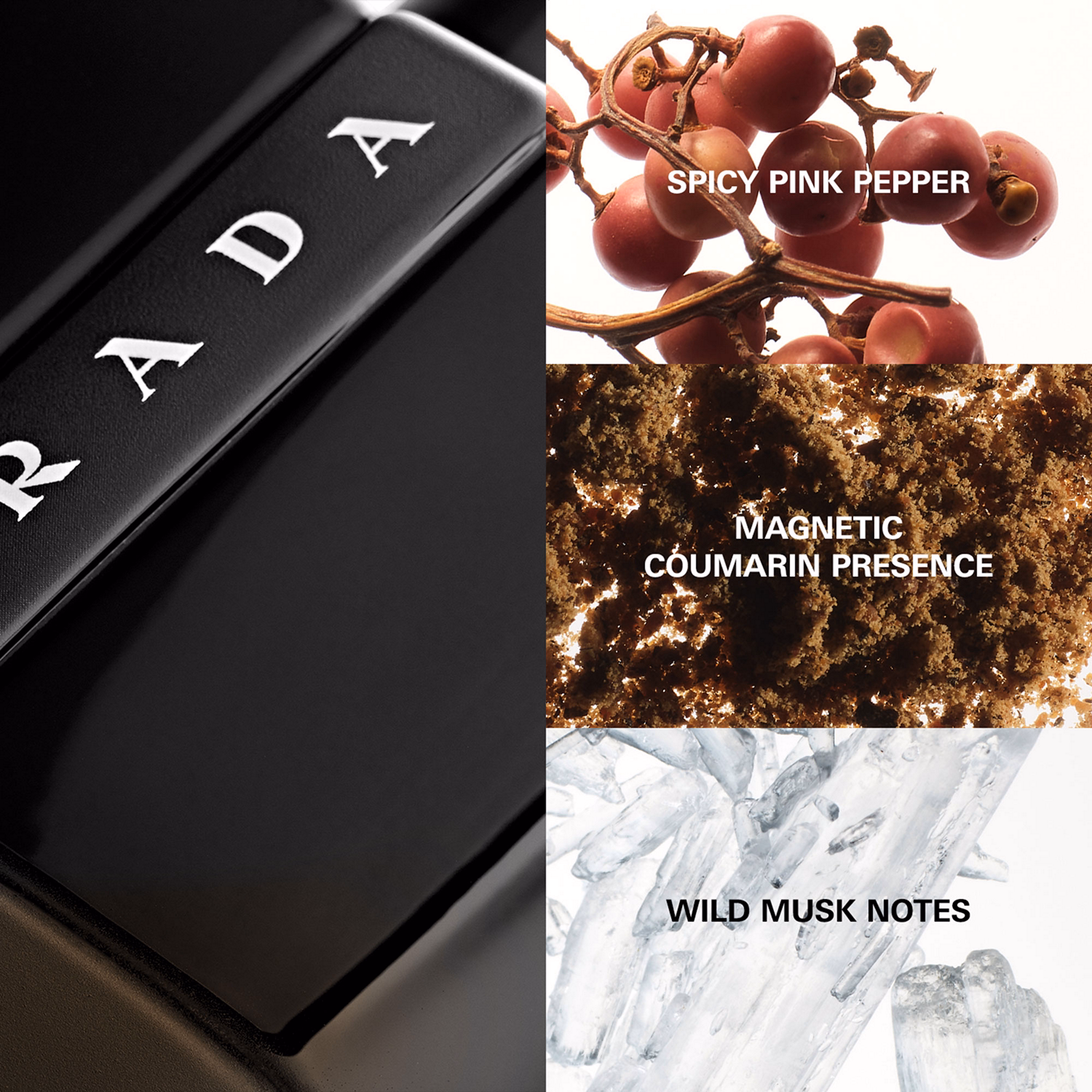 Luna Rossa Black Eau De Parfum