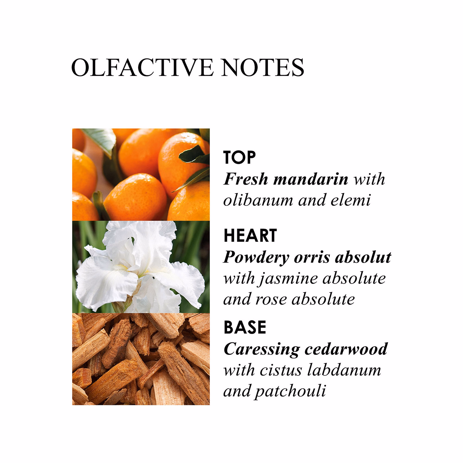 Molton Body Loti Suede Orris BL