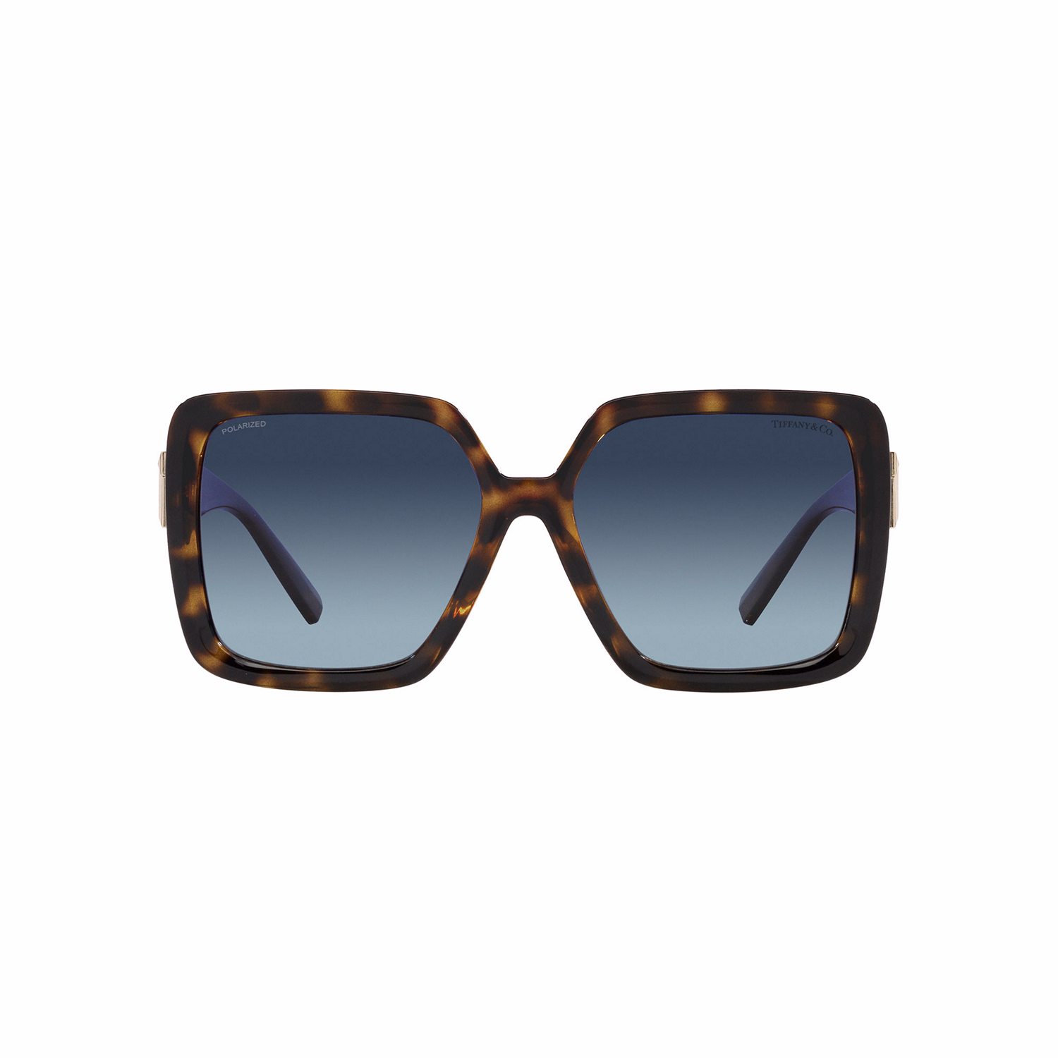 Square Sunglasses TF4206U