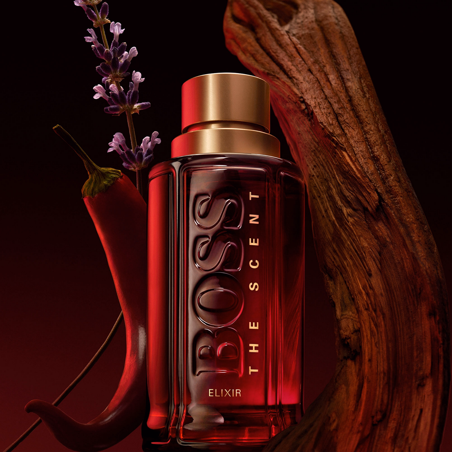 The Scent Elixir for Him EDP