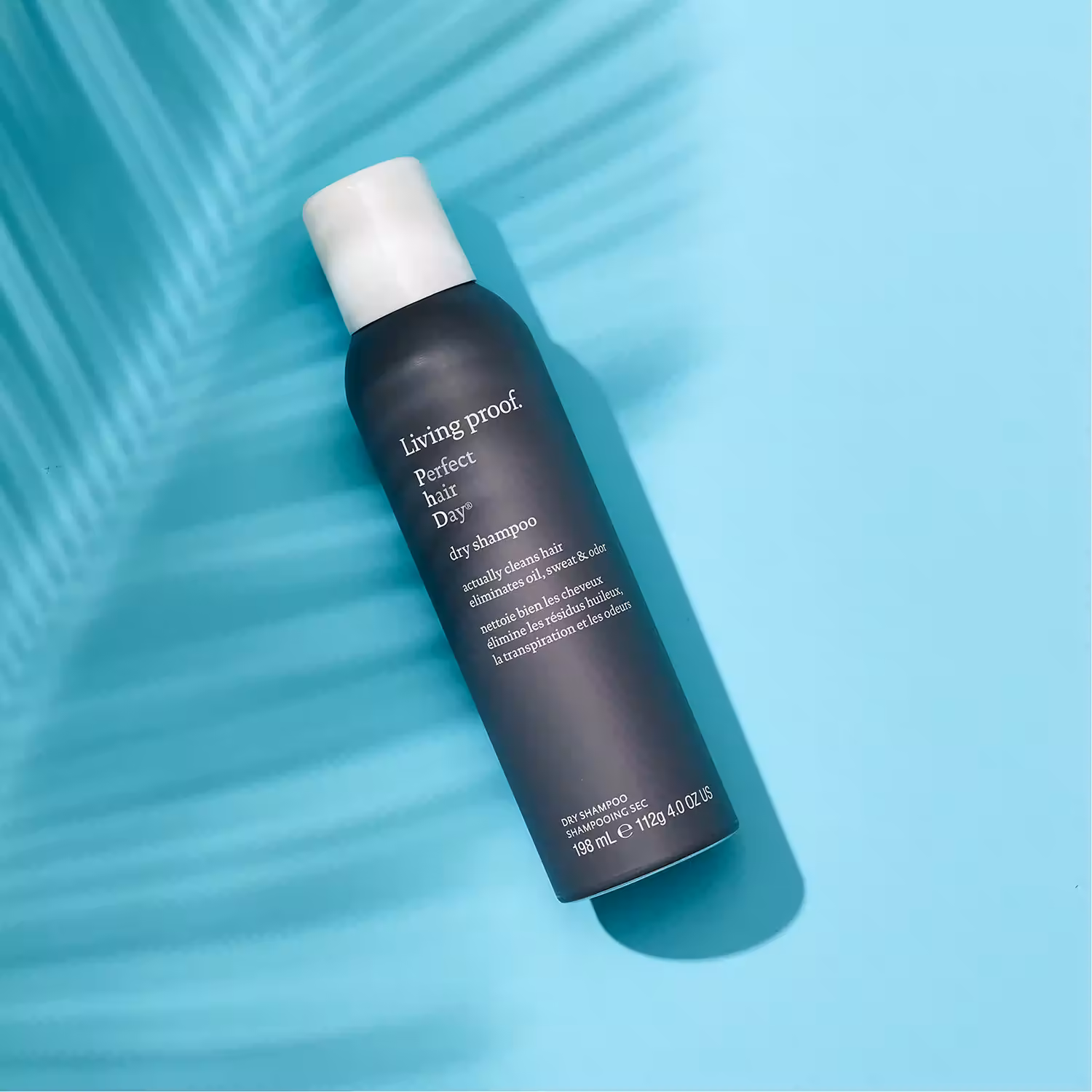 Perfect Hair Day Dry Shampoo