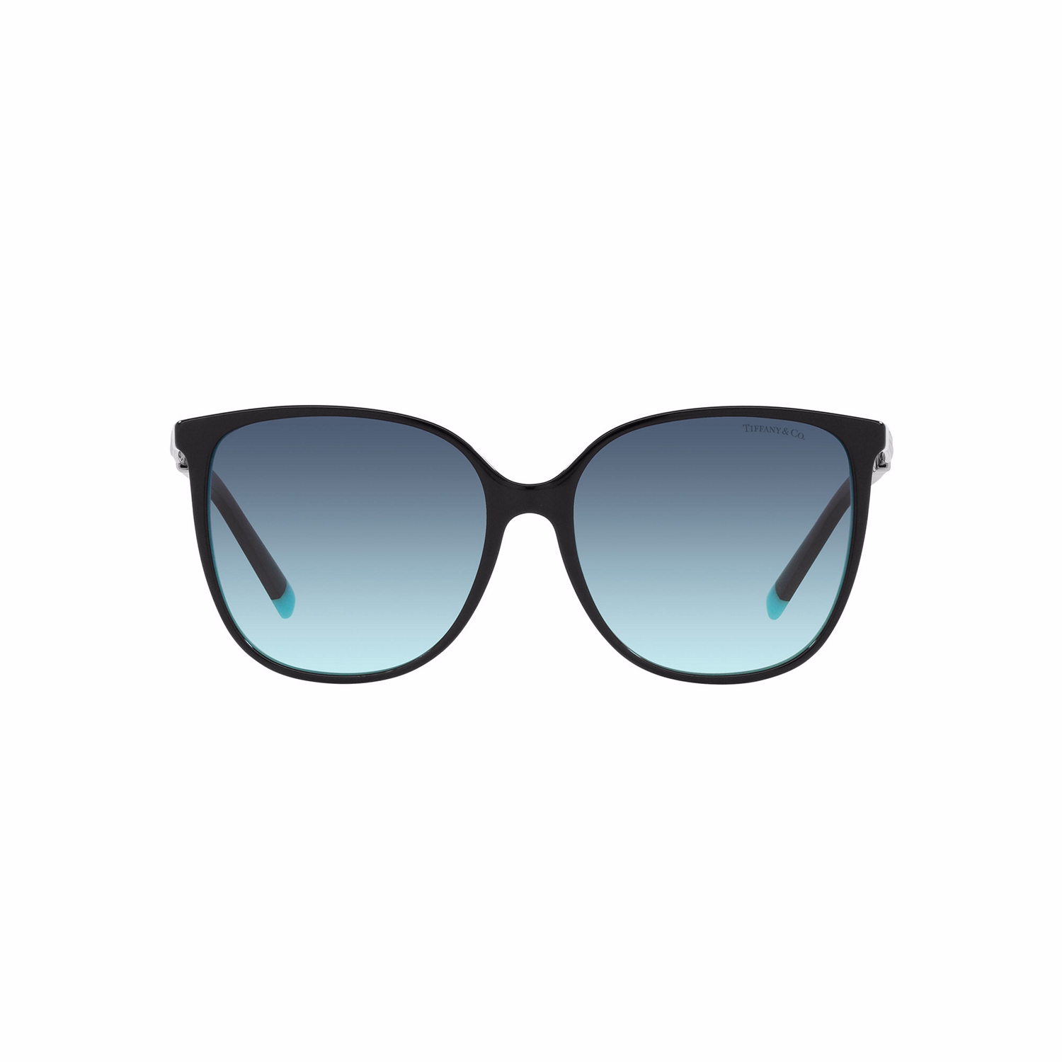 TF4184 Square Sunglasses
