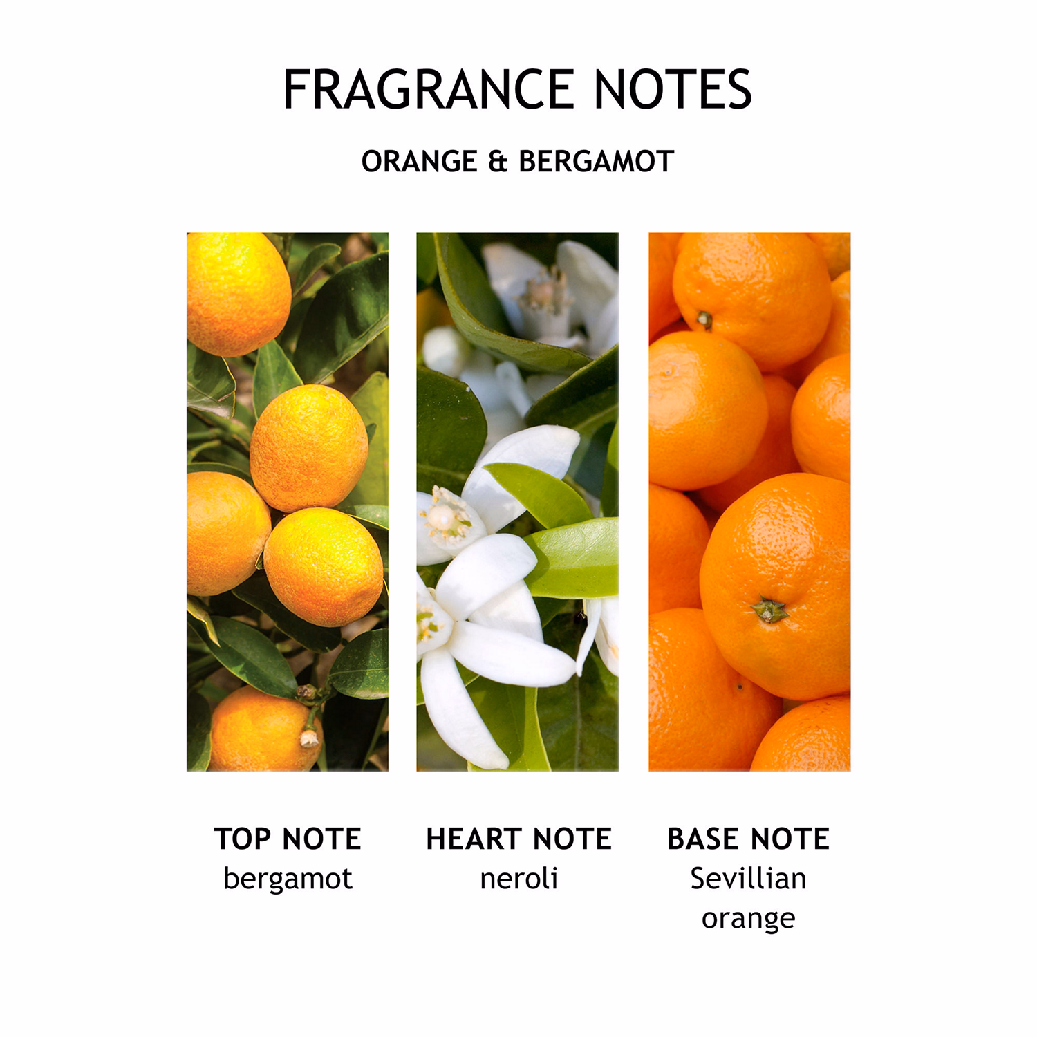 Orange & Bergamot Bath & Shower Gel