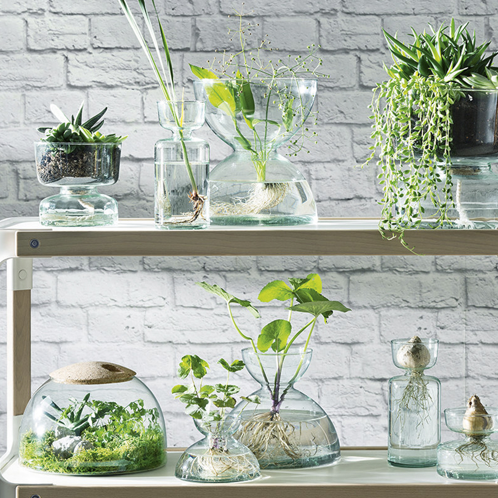 Canopy Terrarium 16,5 cm