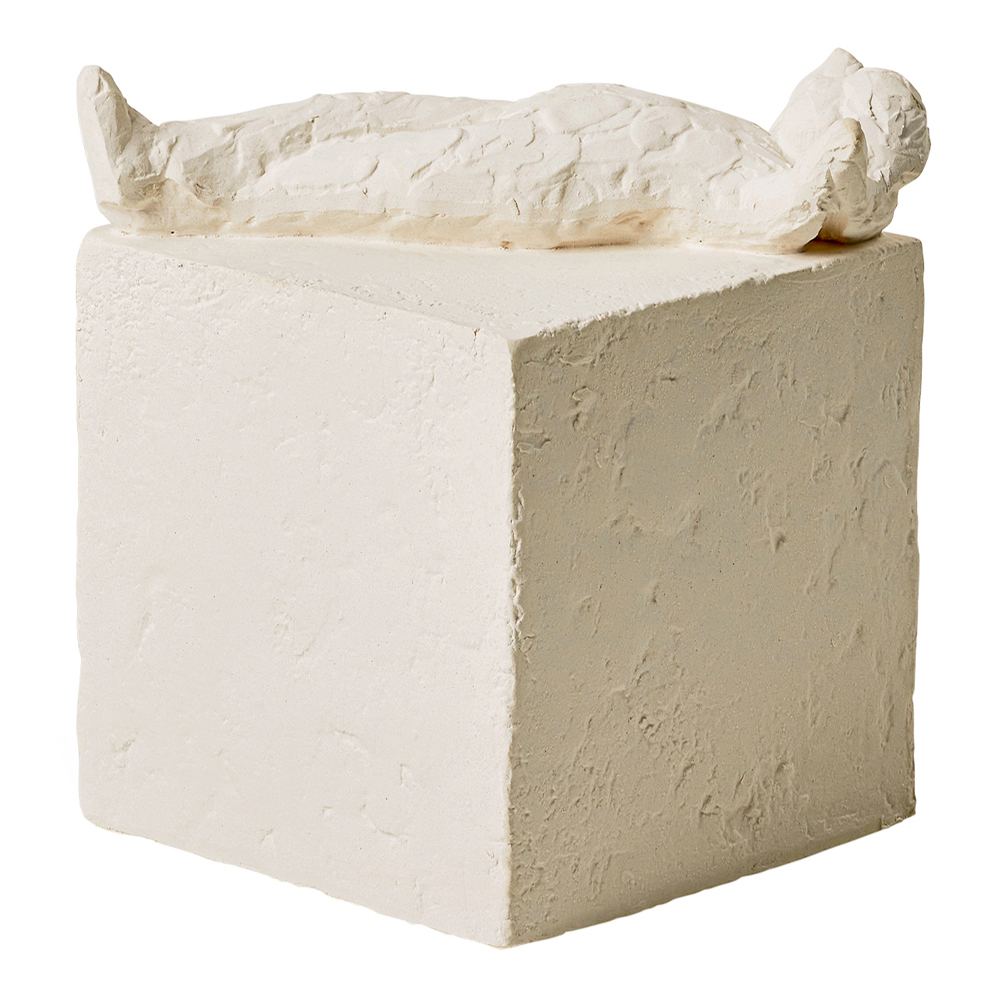 Astro Pisces 13 cm Vit