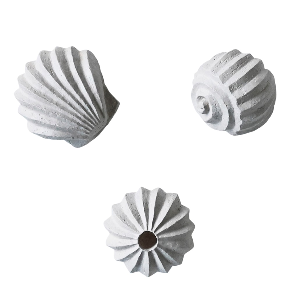 The Genesis Shells Skulptur Limestone