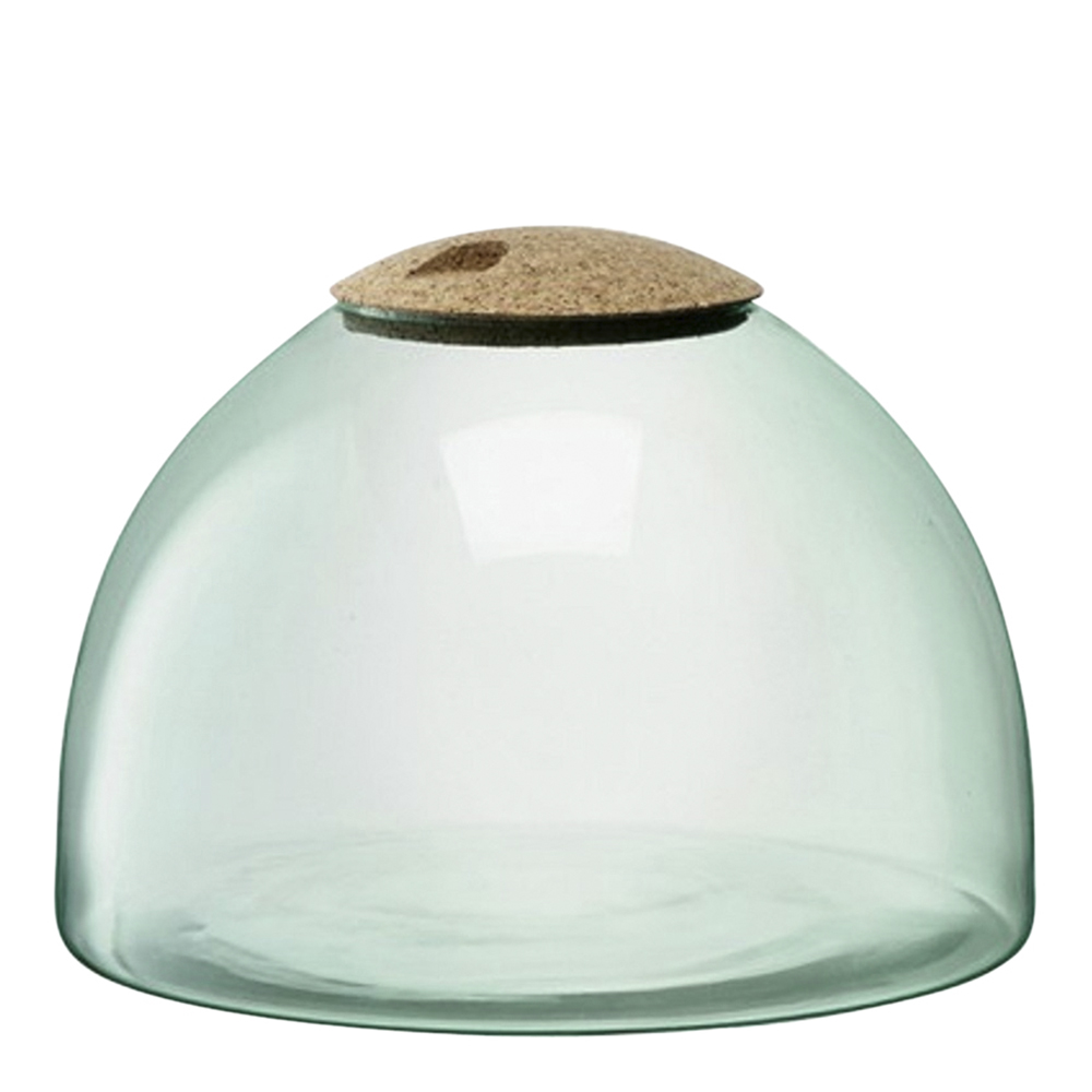 Canopy Terrarium 22 cm