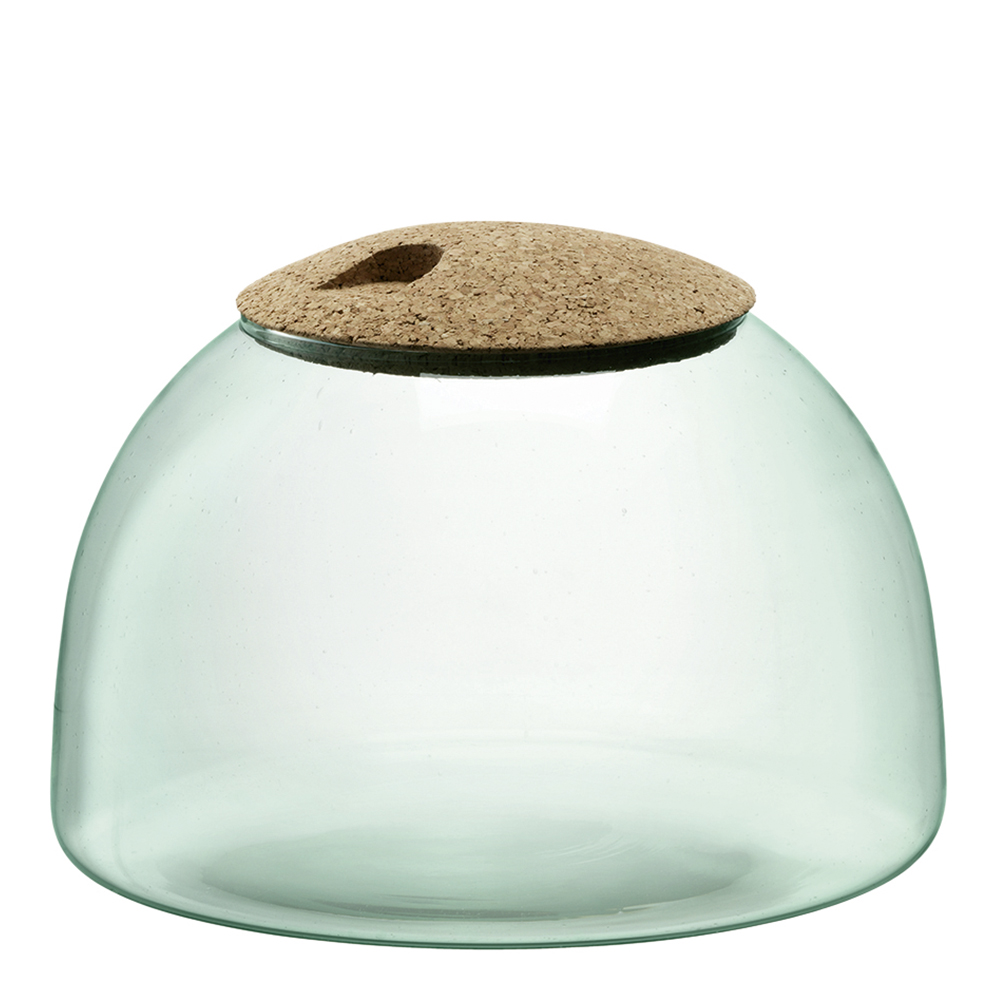 Canopy Terrarium 16,5 cm