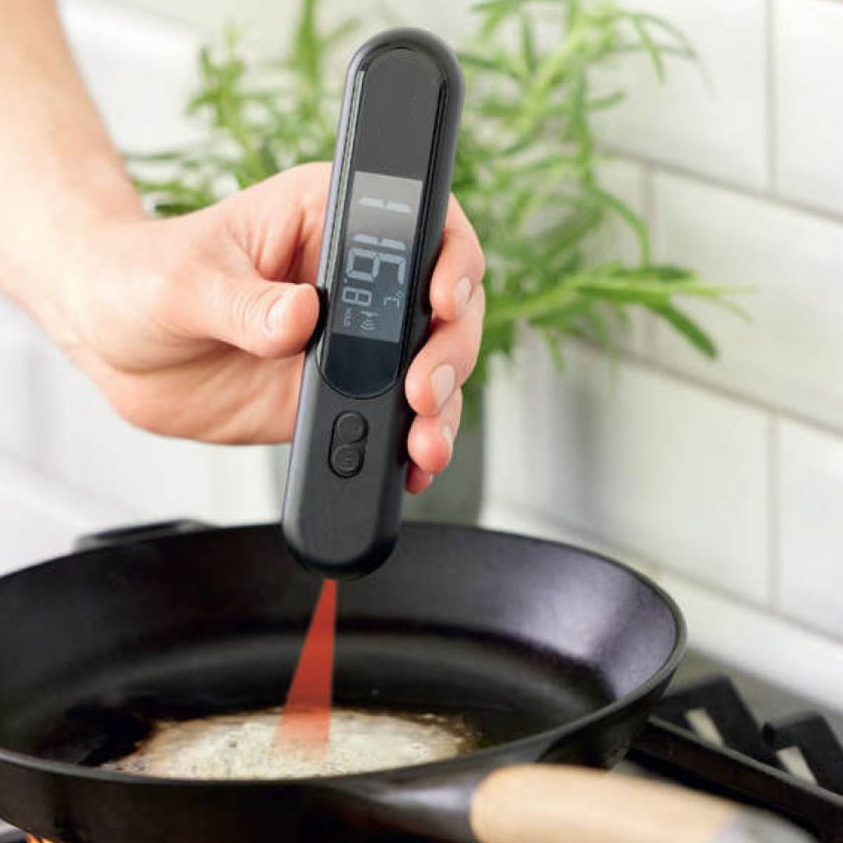 Home Mattermometer Eko