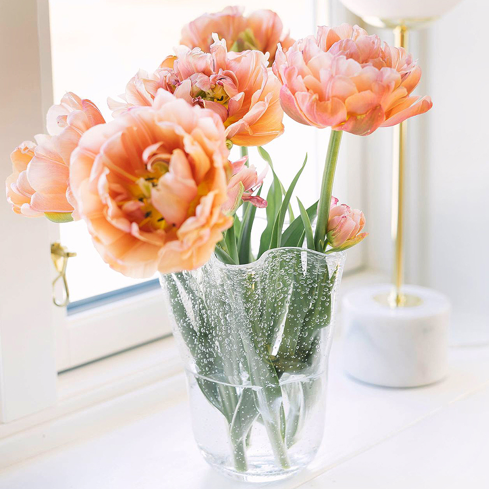 Tulip Tulpanvas 20 cm Klar