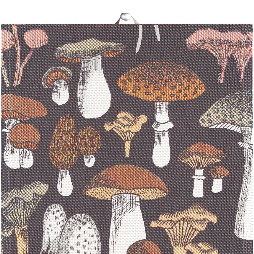 Svamprik Kökshandduk 40x60 cm