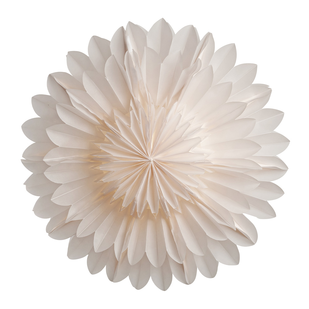 Lotus Julstjärna 44 cm Vit