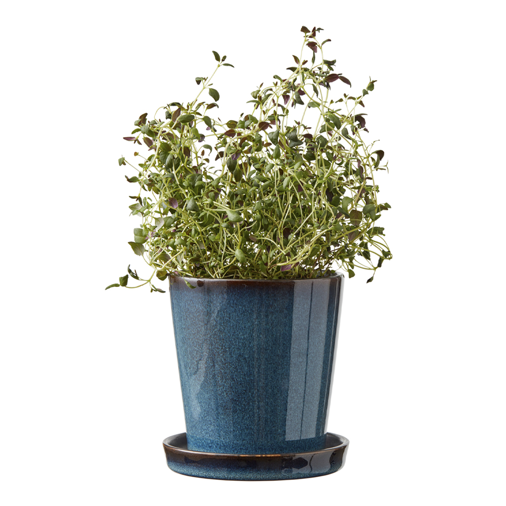 Skjuler Kruka med fat 10 cm Mörkblå/Svart