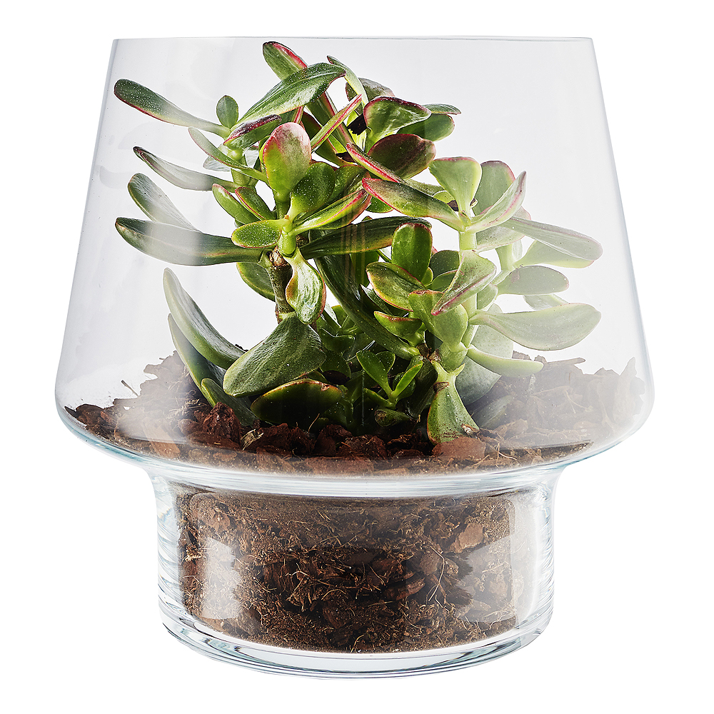 Vas för suckulenter 21 cm