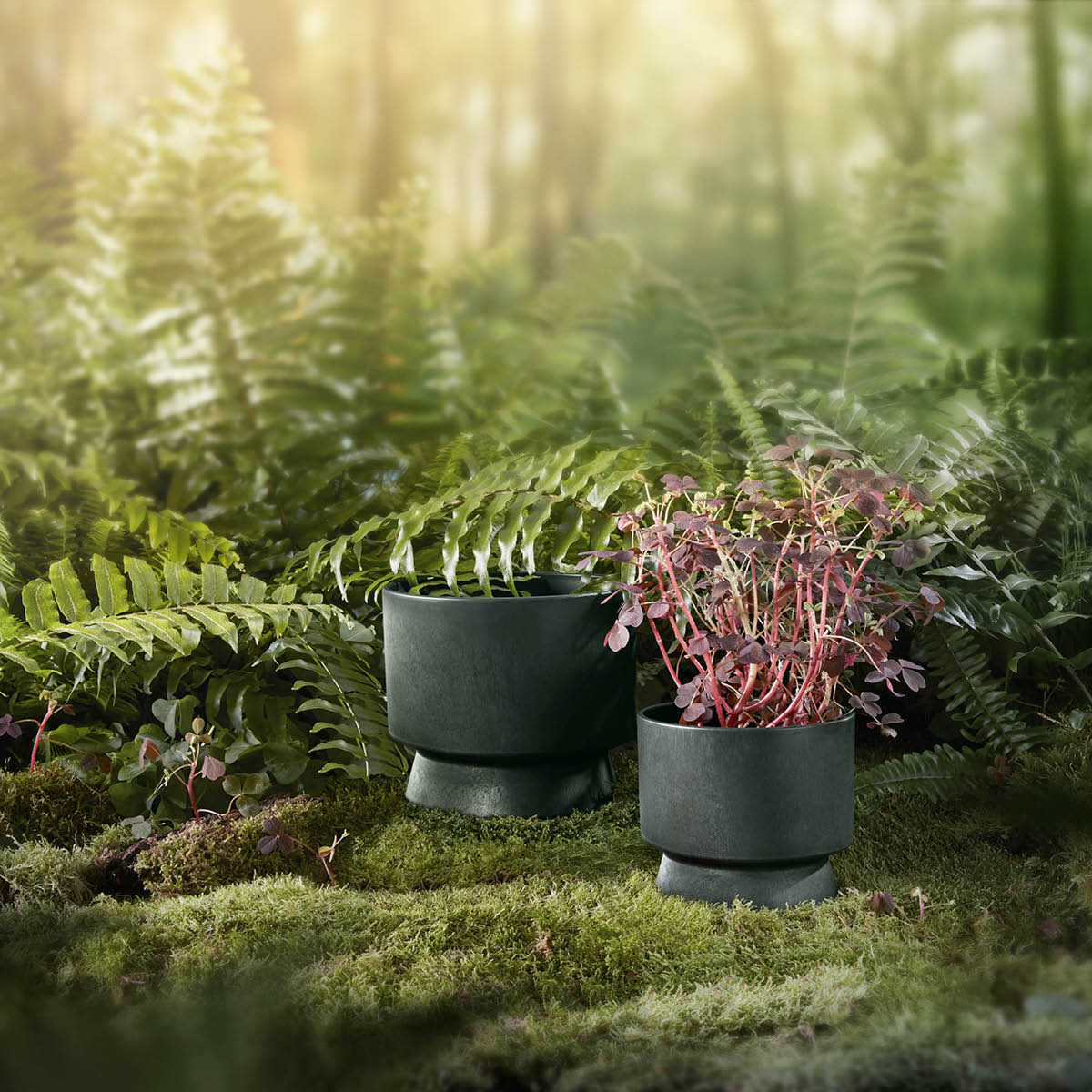 Blomkruka 19 cm Grön