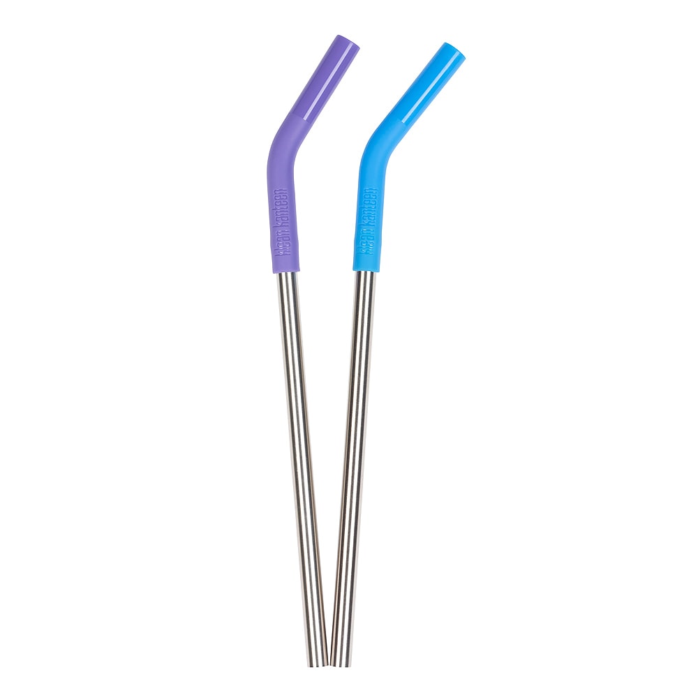 Sugrör 2-pack Rostfri