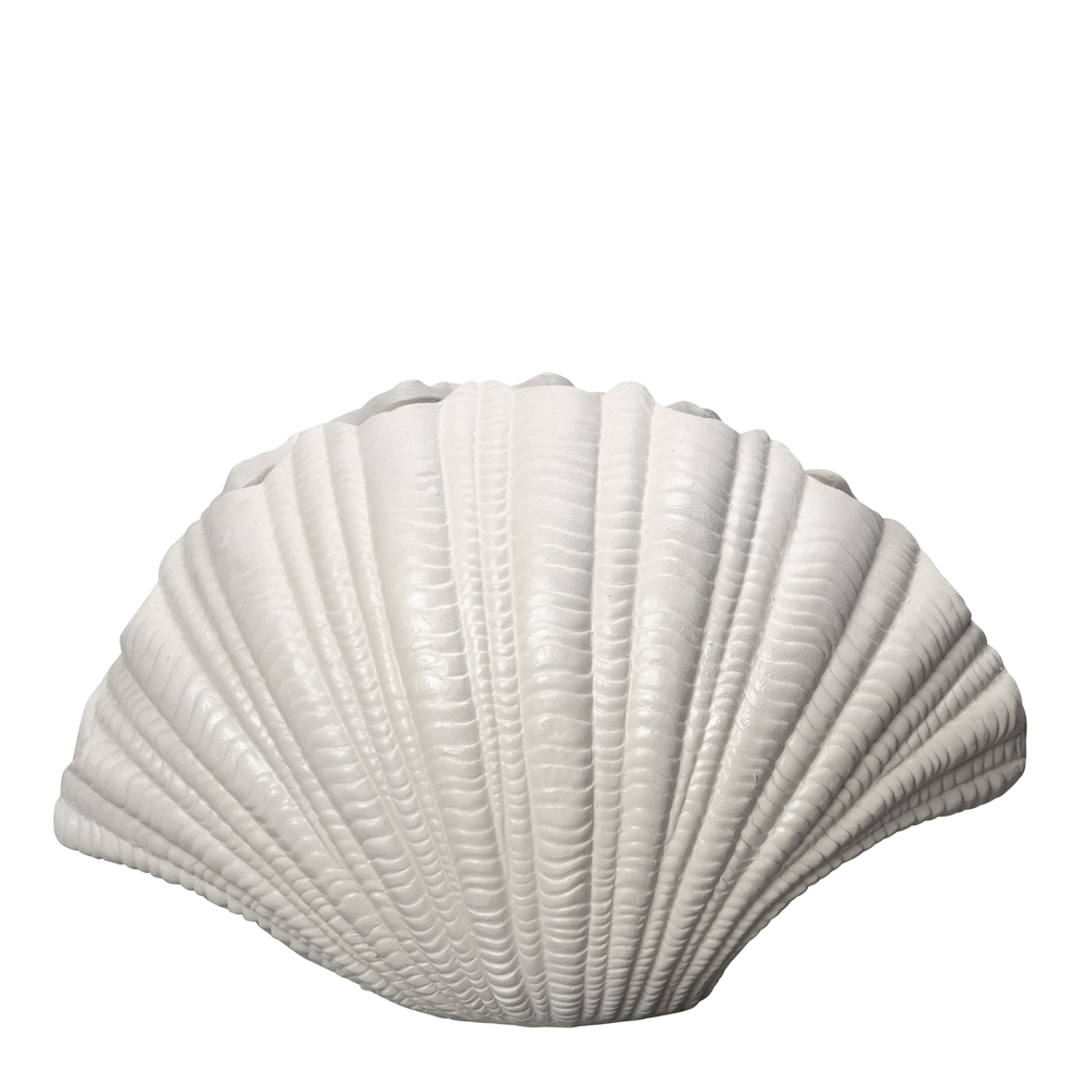 Shell Vas 31x19 cm Vit