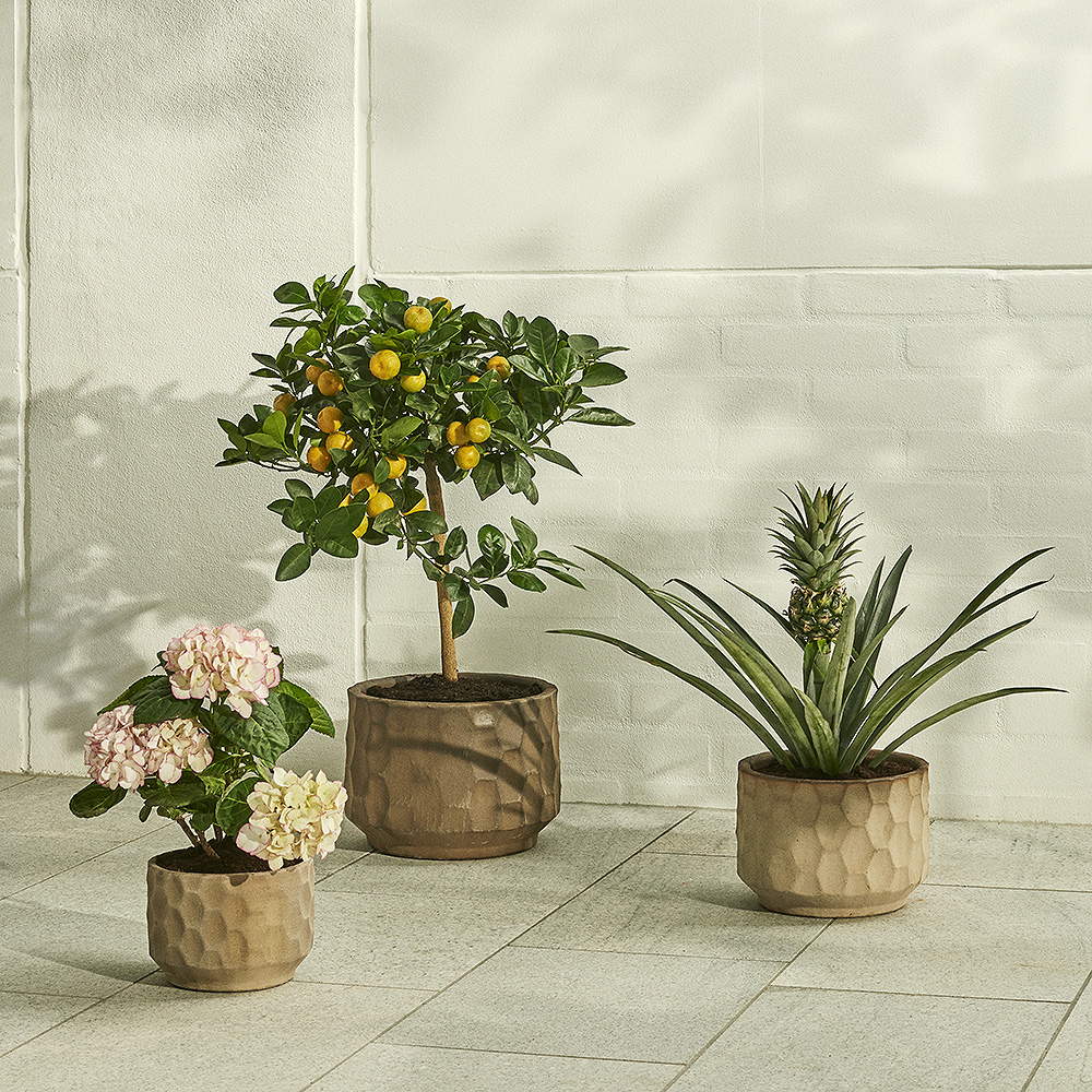 Gro Kruka 26,5 cm Sand