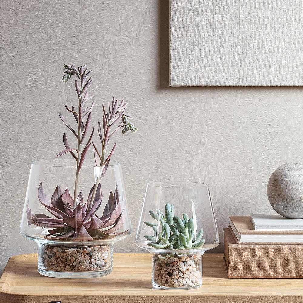 Vas för suckulenter 15 cm