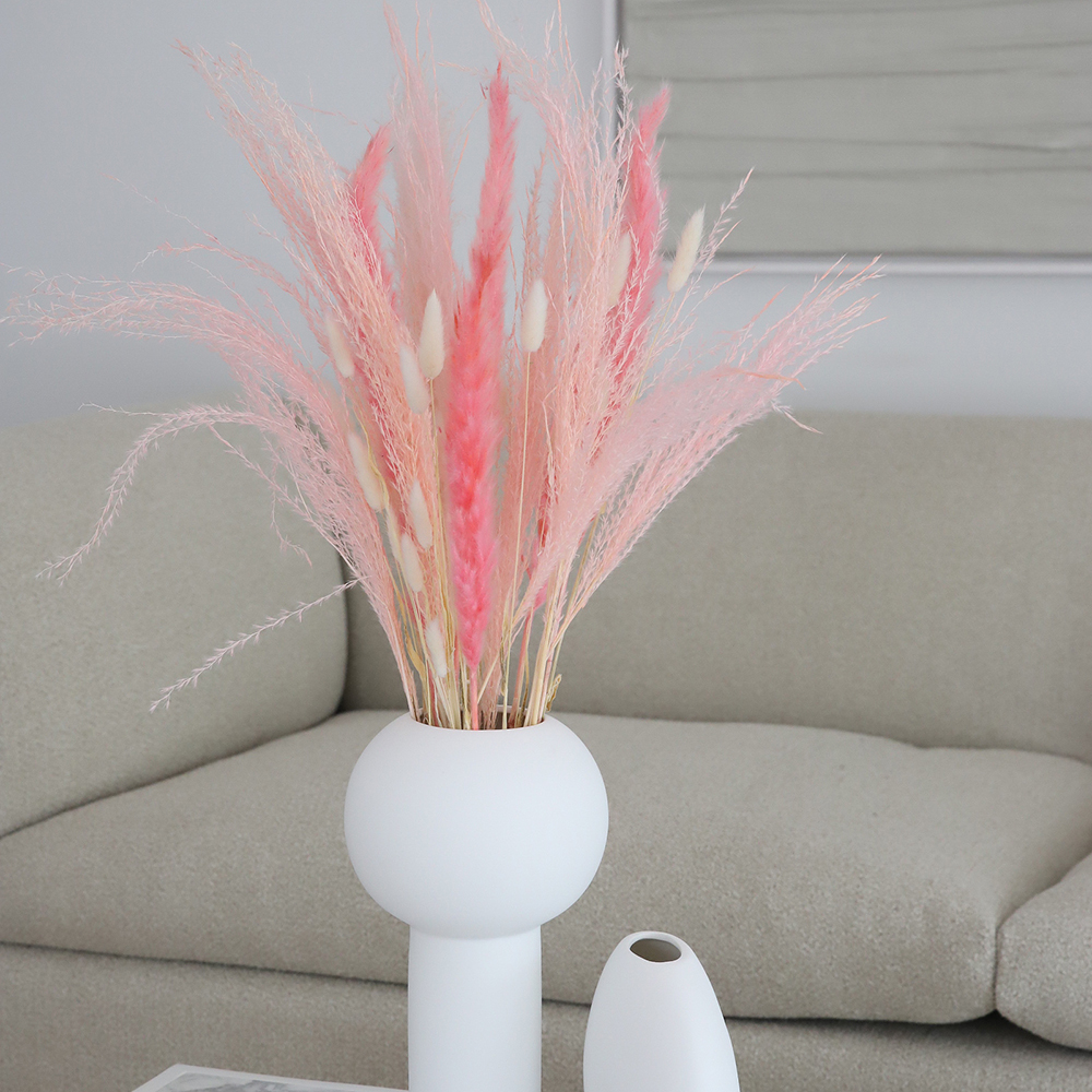 Torkad Pampas Fjäder Blekrosa