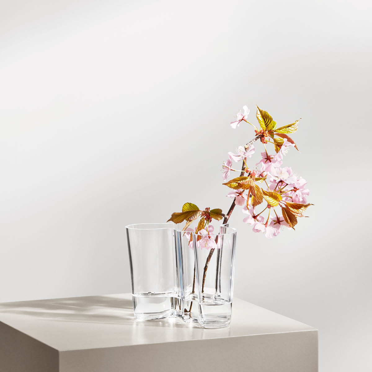 Alvar Aalto Collection Vas 16 cm Klar