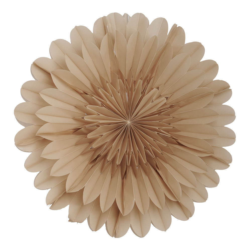 Lotus Julstjärna 60 cm Beige