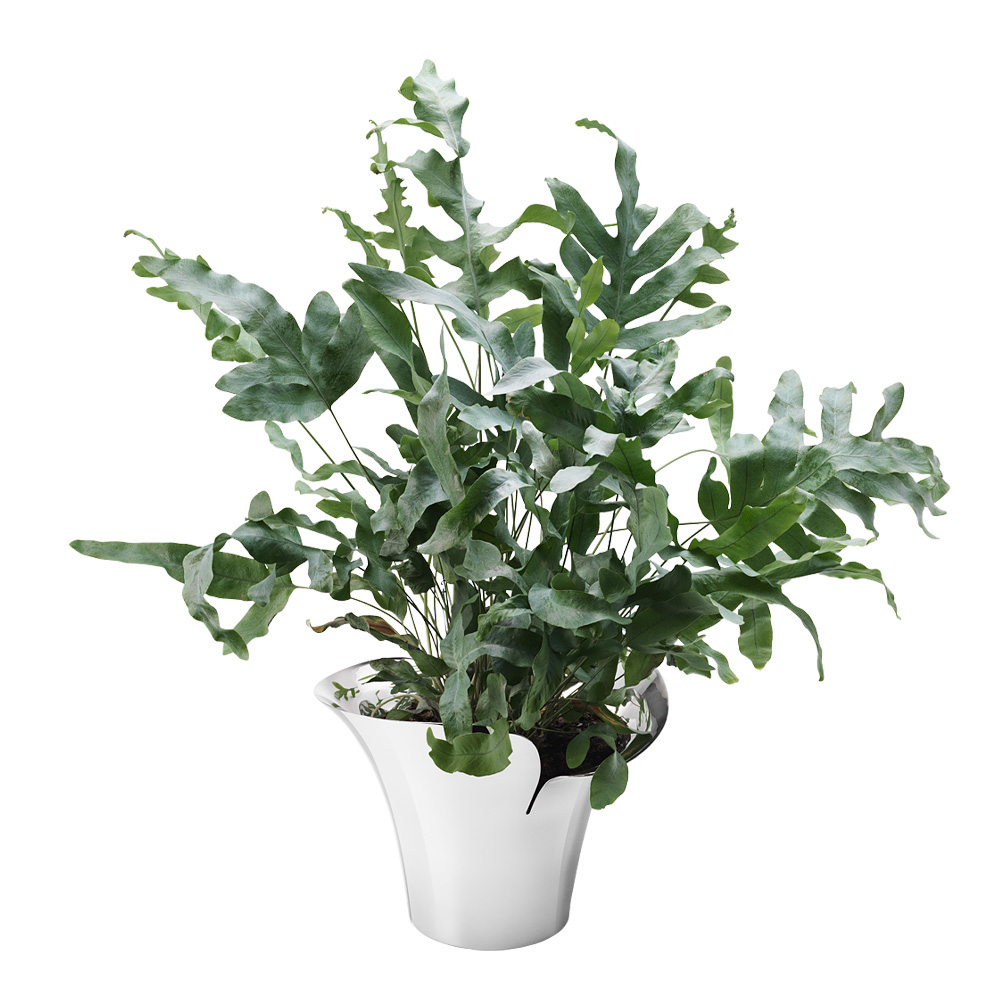Bloom Botanica Kruka Medium 19 cm Rostfri