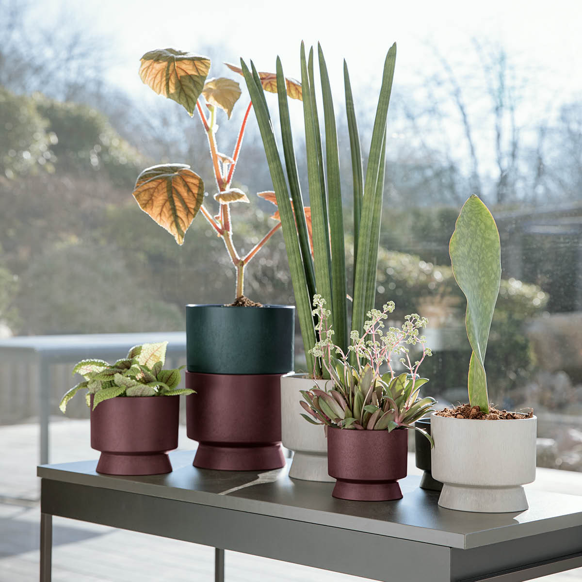 Blomkruka 19 cm Vinröd