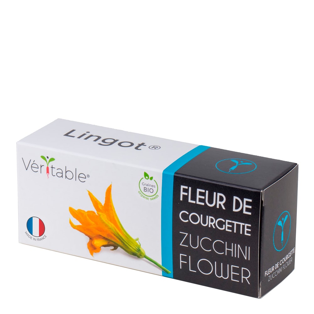 Lingot Frö refill Zucchiniblomma
