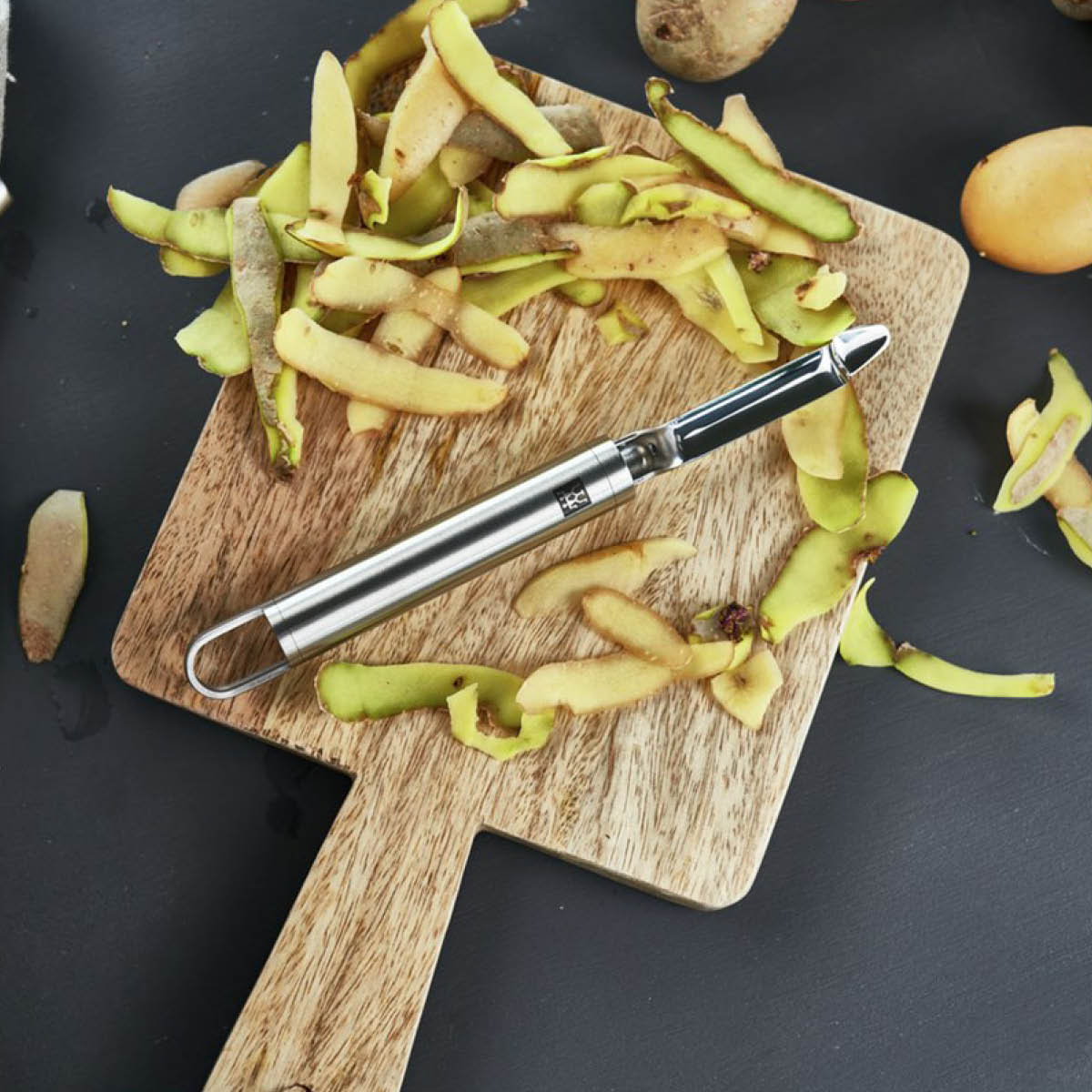 Skalare, Rörligt Blad 21 cm