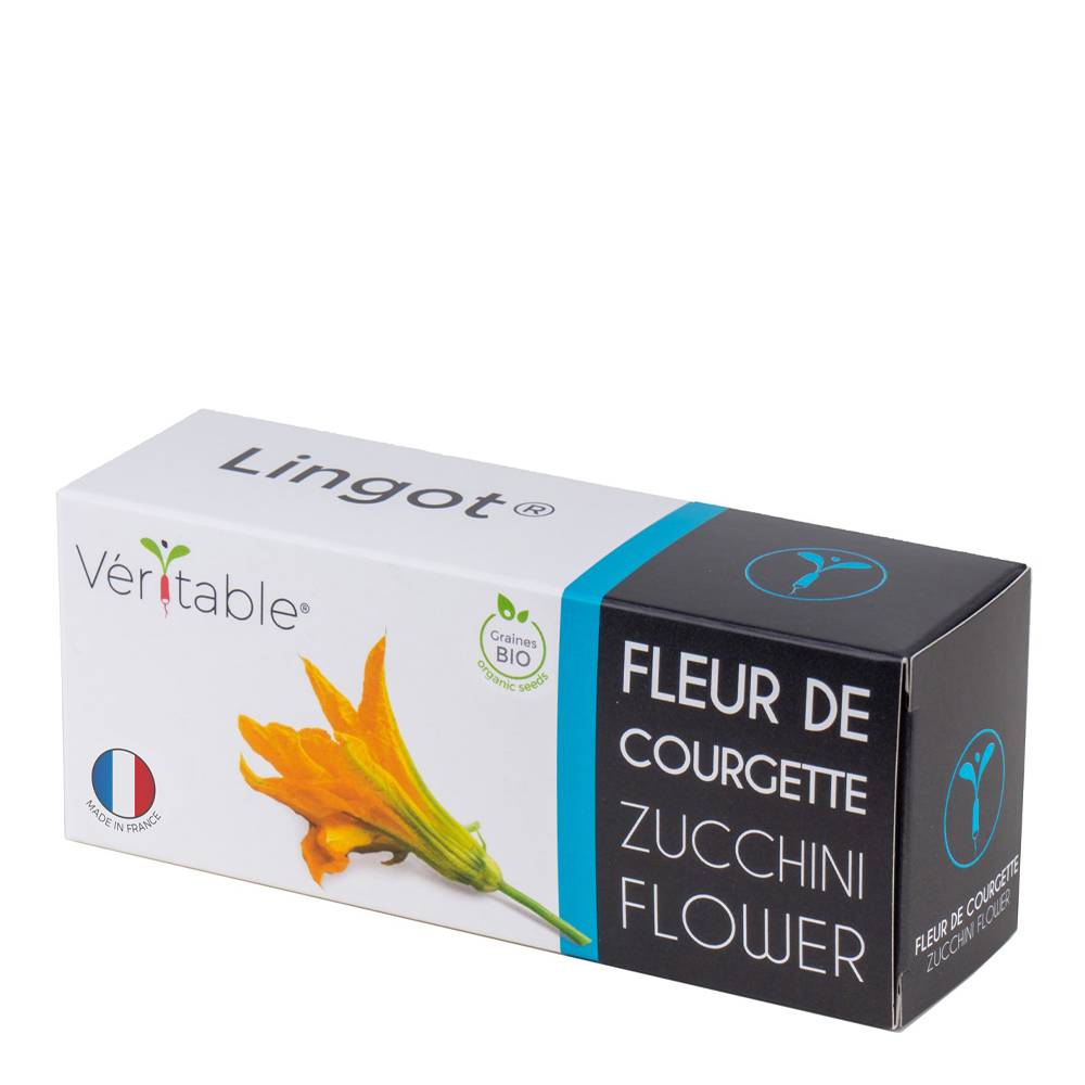 Lingot Frö refill Zucchiniblomma