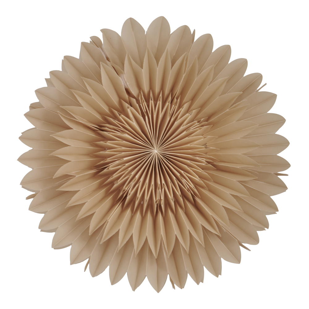 Lotus Julstjärna 44 cm Beige