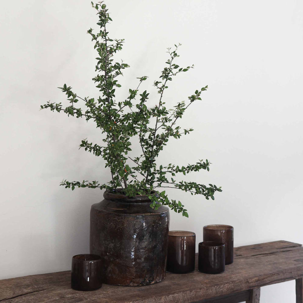 Lyric Ljuslykta Glas 10x10 cm Mörk Brun