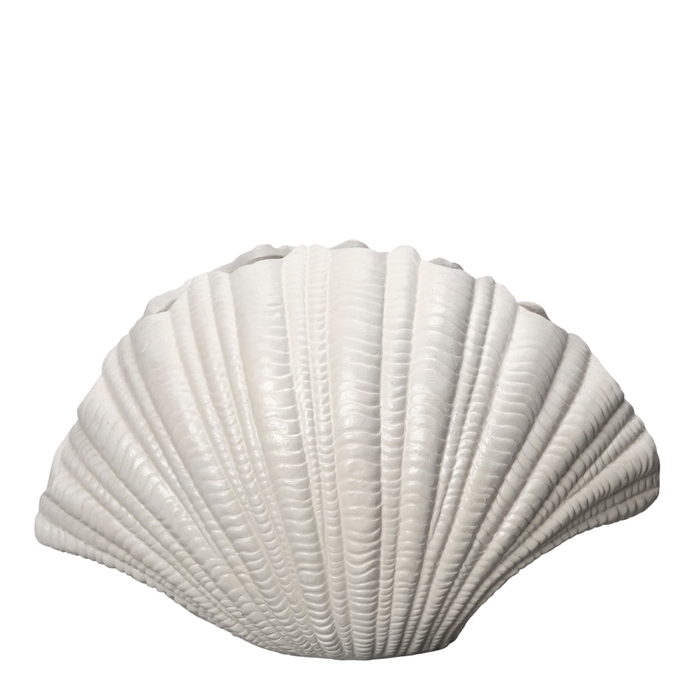 Shell Vas 31x19 cm Vit
