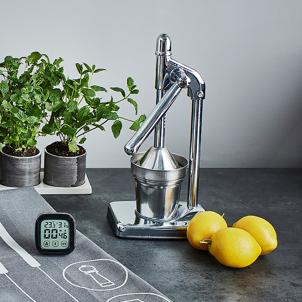 Home Manuell Citruspress Rostfri