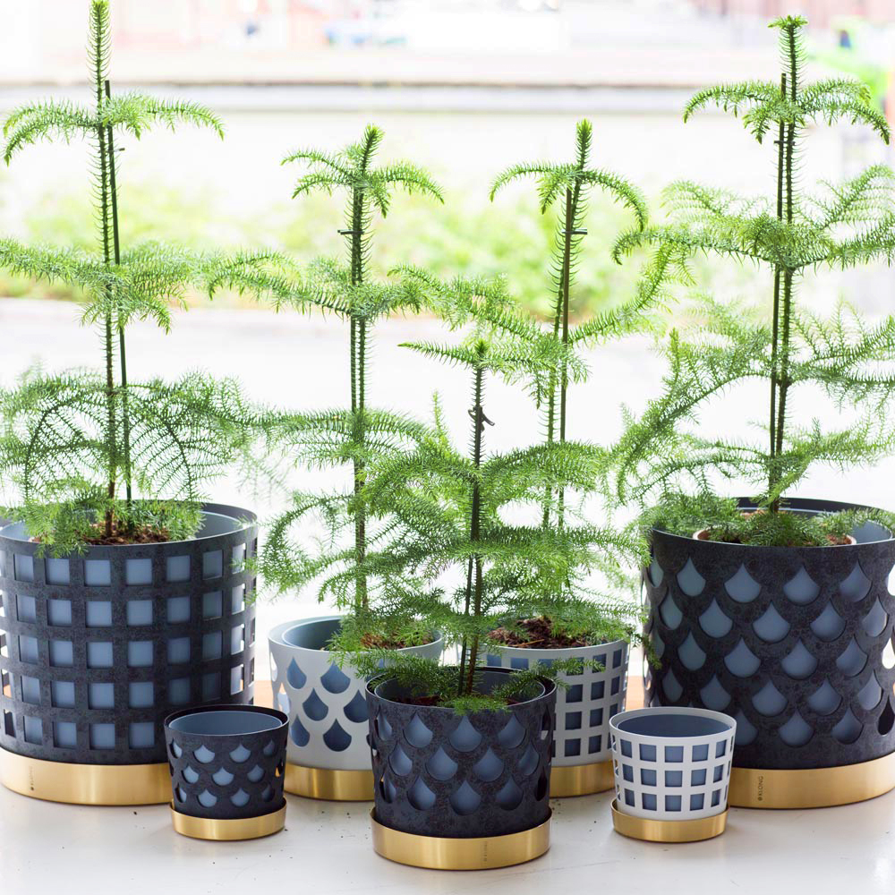 Trio Kruka Drop 12 cm Blå