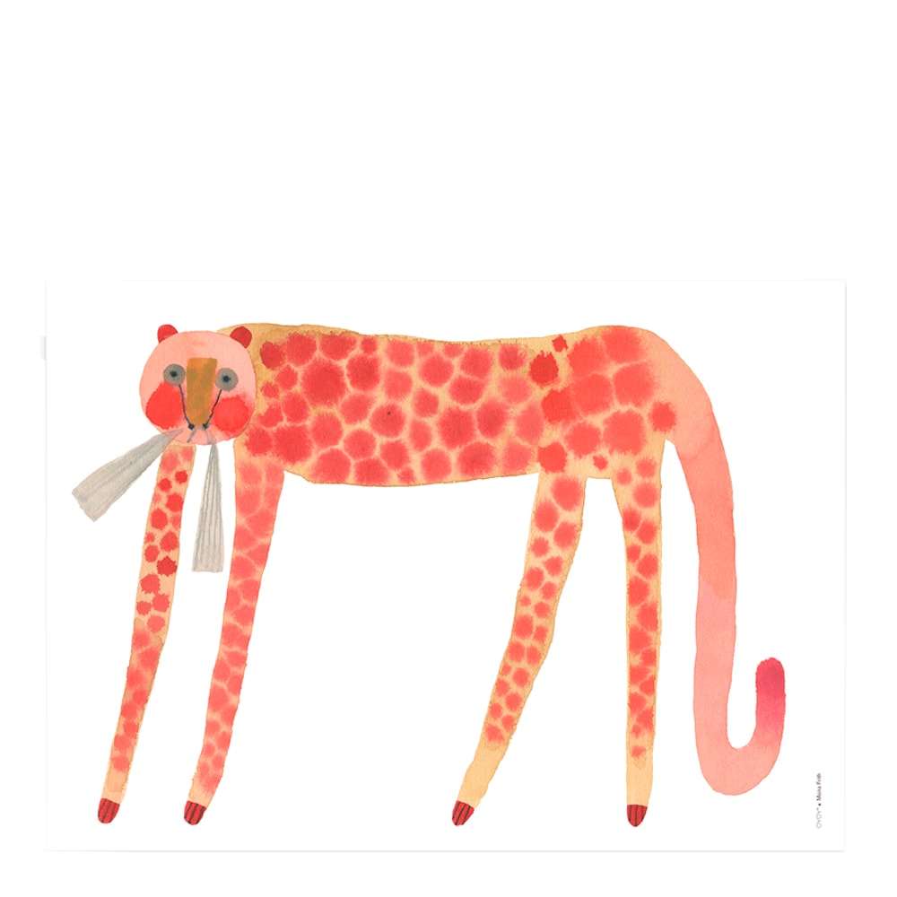 Affisch 70x50 cm Jordgubbskatten