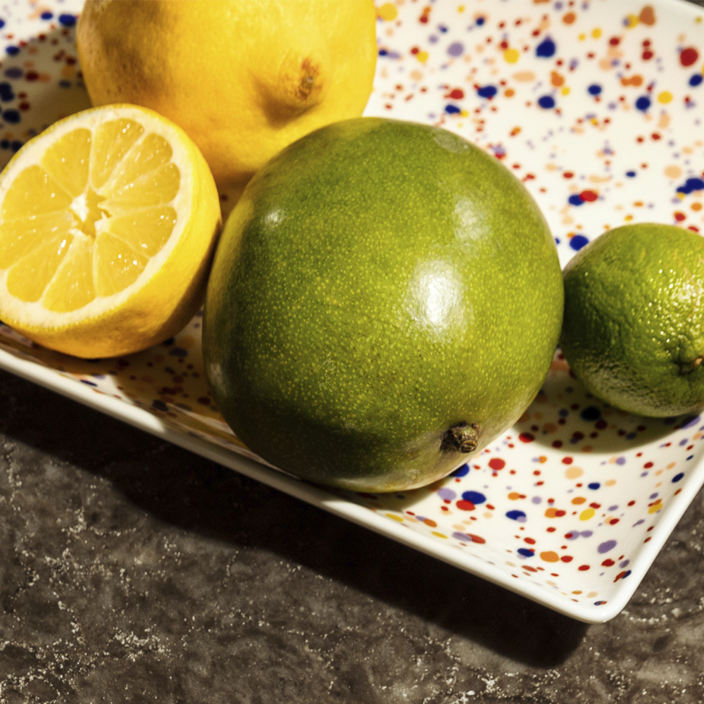 Oiva Toikka Helle Tallrik 15x21 cm