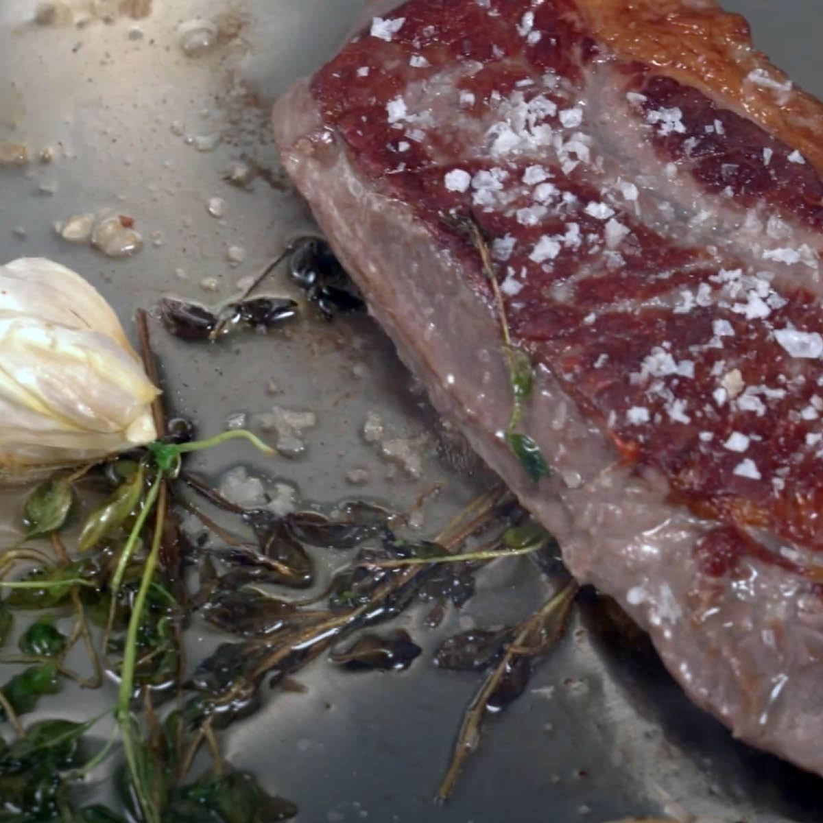 Immersion Sous Vide Pro Plus circulator