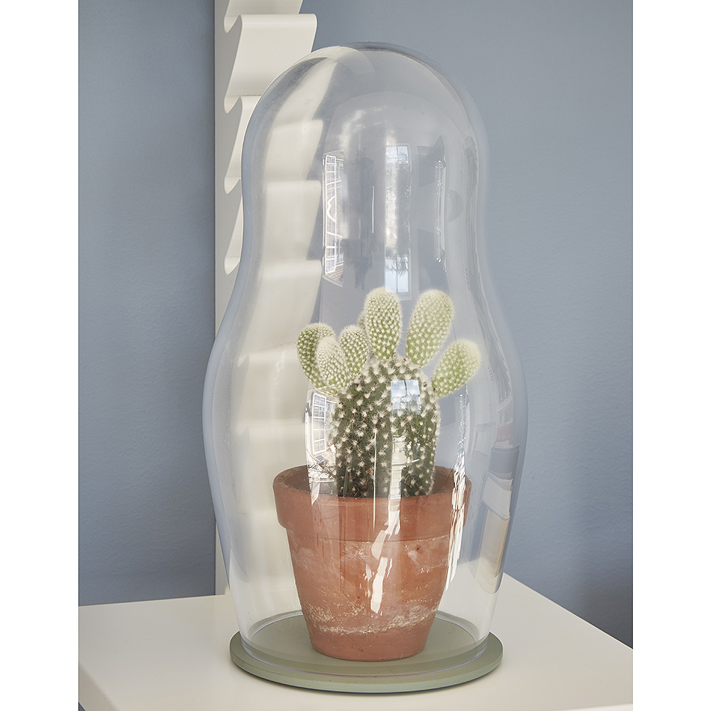 Baba Glaskupa Mellan