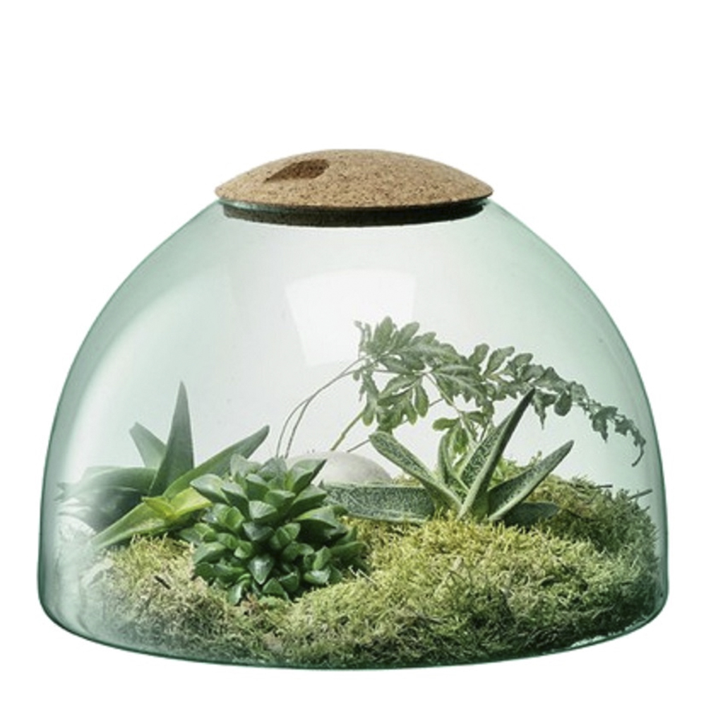 Canopy Terrarium 22 cm
