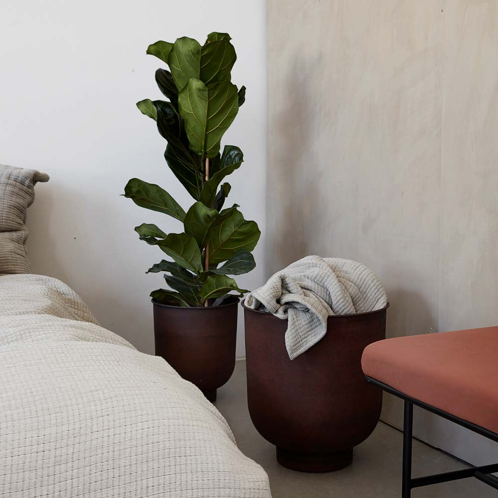 Vig Krukor 2-pack Brun