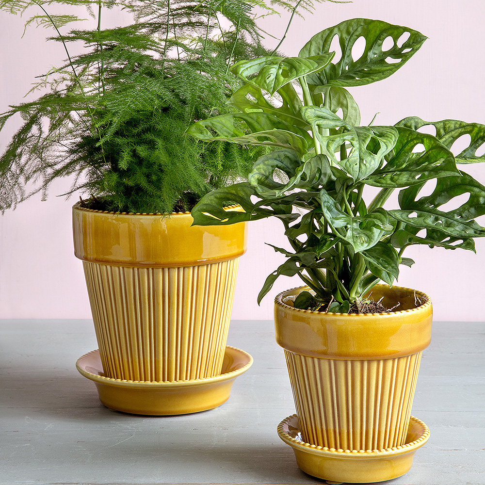 Simona Kruka/Fat 18 cm Gul amber