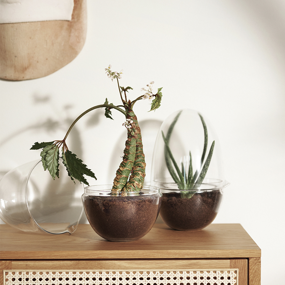 Grow Växthus Large 32 cm