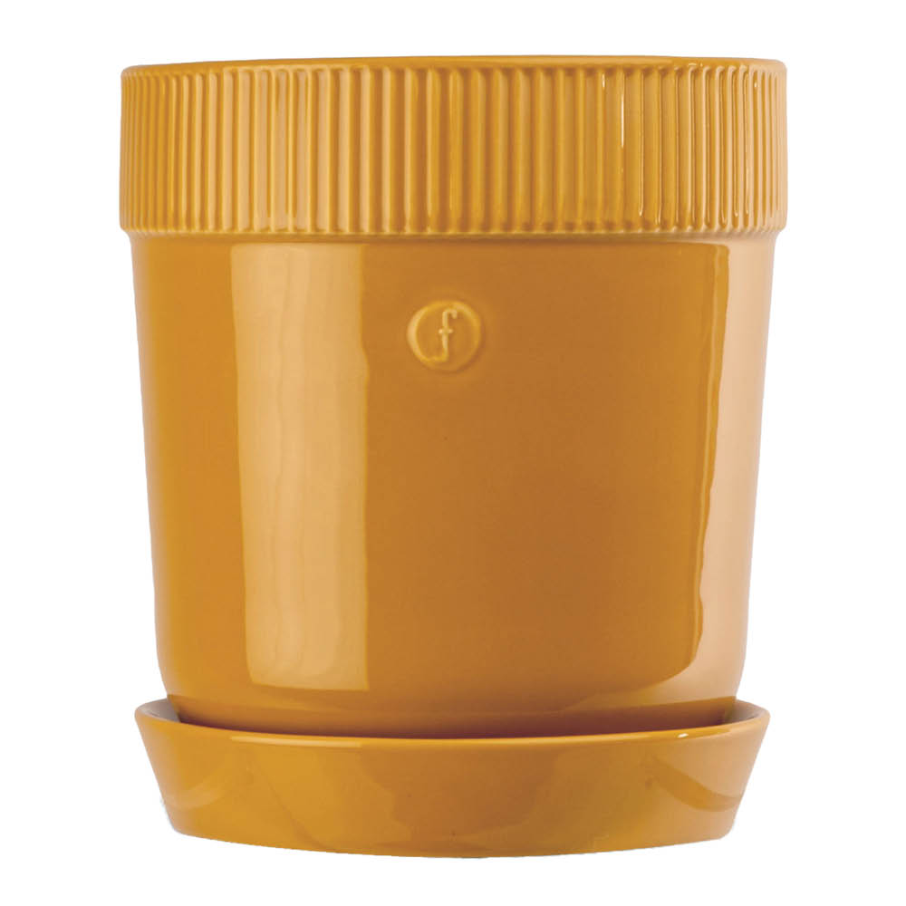 Elise  Örtkruka 11 cm Gul