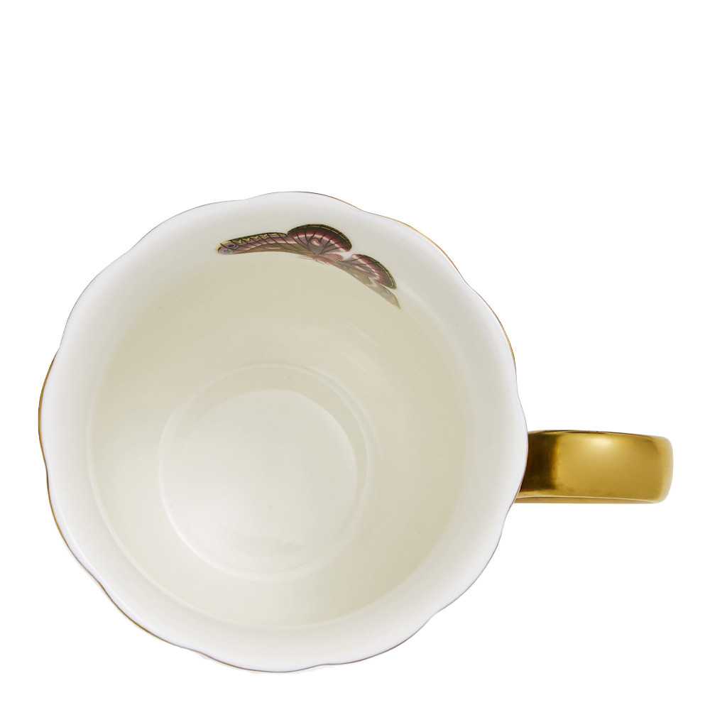 Creatures of Curiosity Mugg 34 cl Black