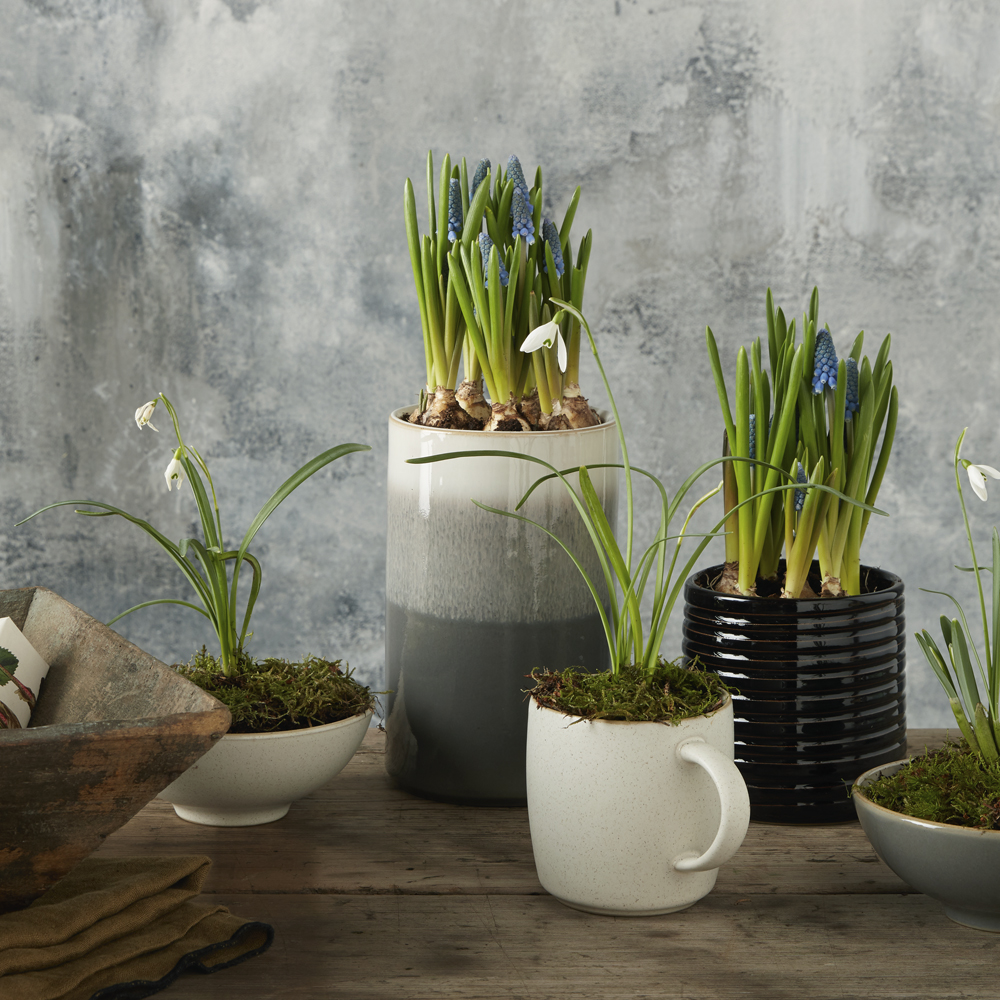 Modus Vas Large 11x18 cm  Ombre