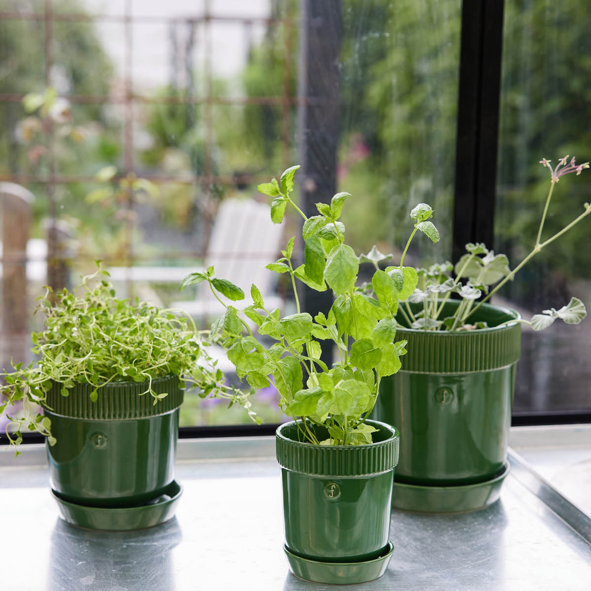 Elise Örtkruka 11 cm Grön